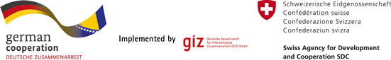 GIZ_logo